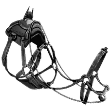 Montura de Carcharodontosaurio