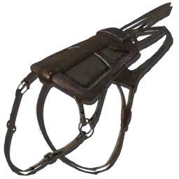 Montura de Ictiosaurio