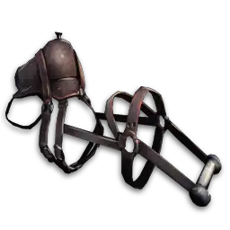 Montura de Pelagornis