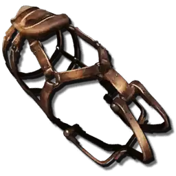 Montura de Tusoteuthis