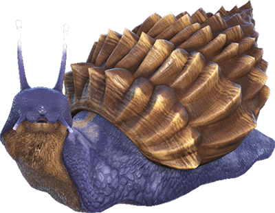 Achatina
