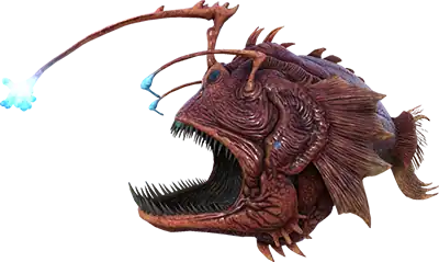 Angler Fish