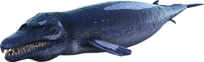 Basilosaurio