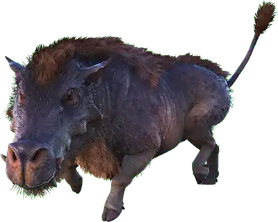 Daeodon
