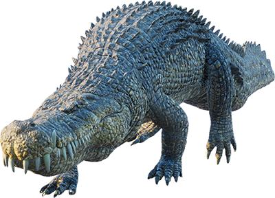 Deinosuchus