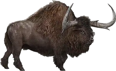 Bizonte