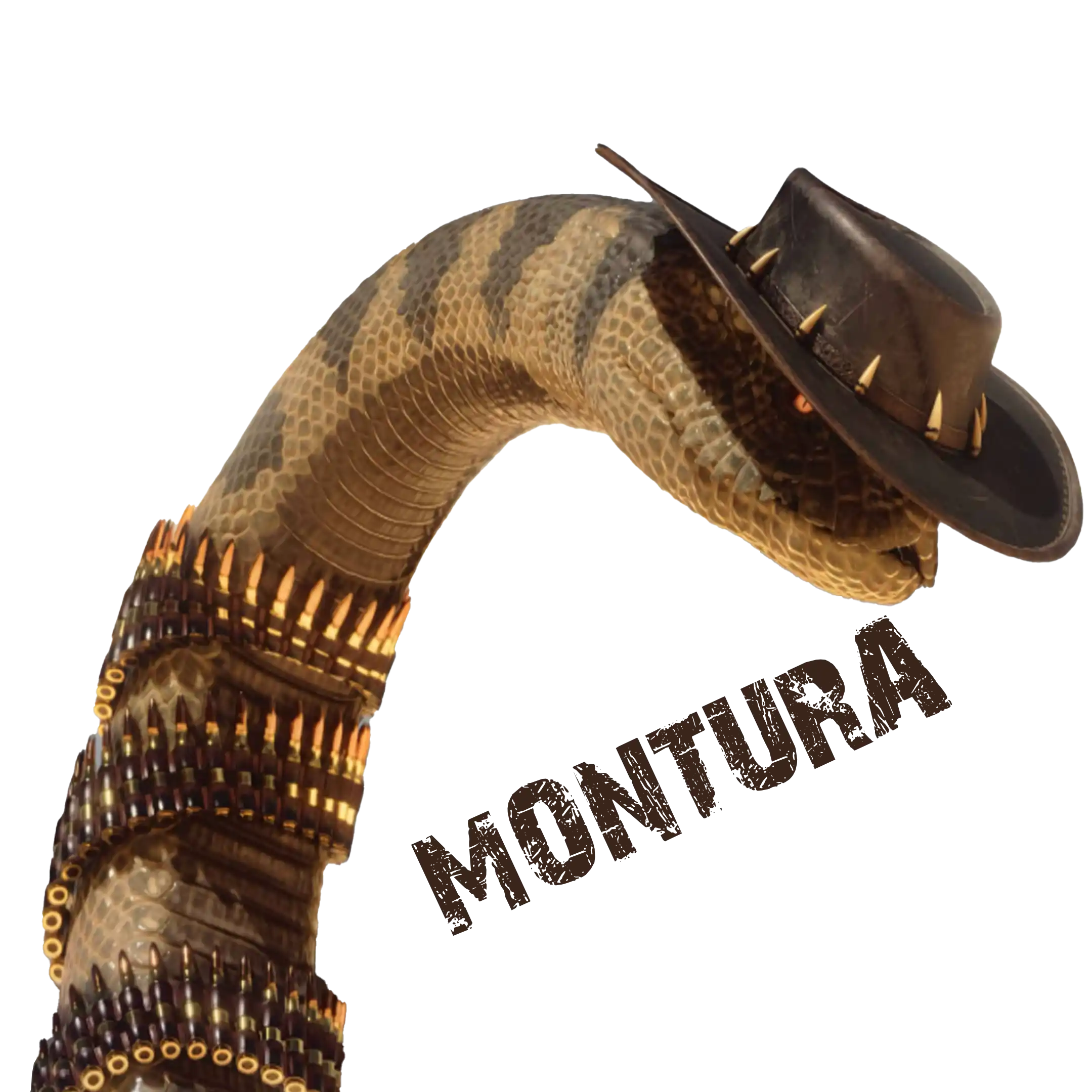 Montura de Gigantophis