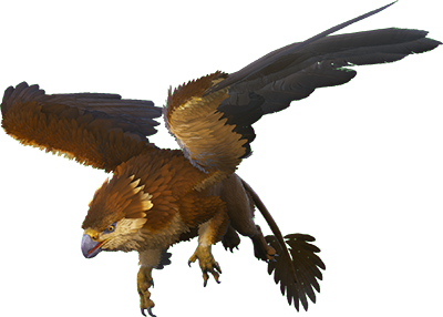Grifo