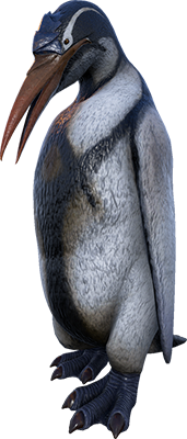 Kairuku