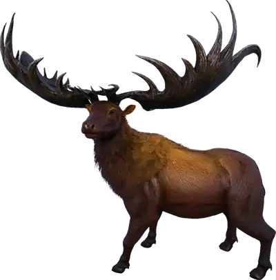 Megaloceros