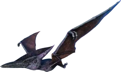 Pteranodon