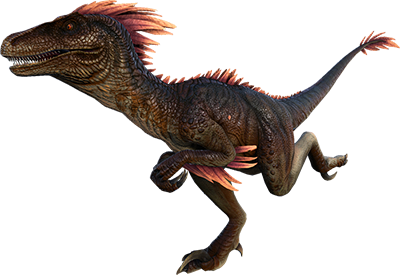 Raptor